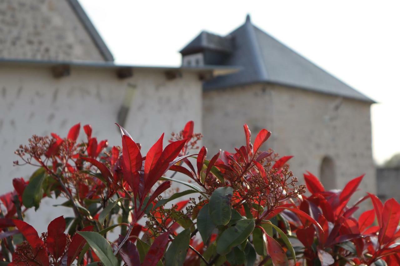 Gites De Saint Remy Villers-Cotterets  Luaran gambar
